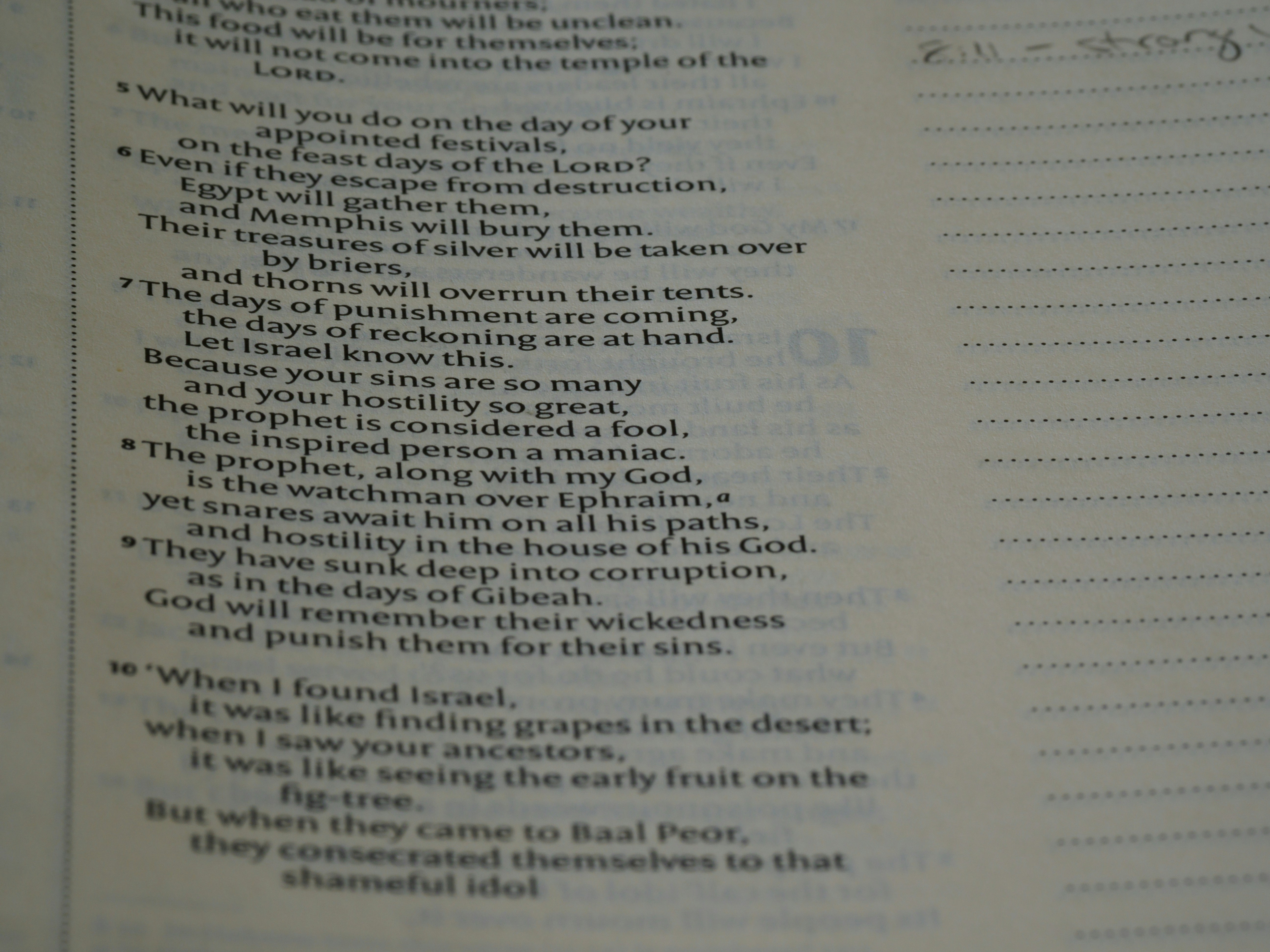 Photo by brett_jordan