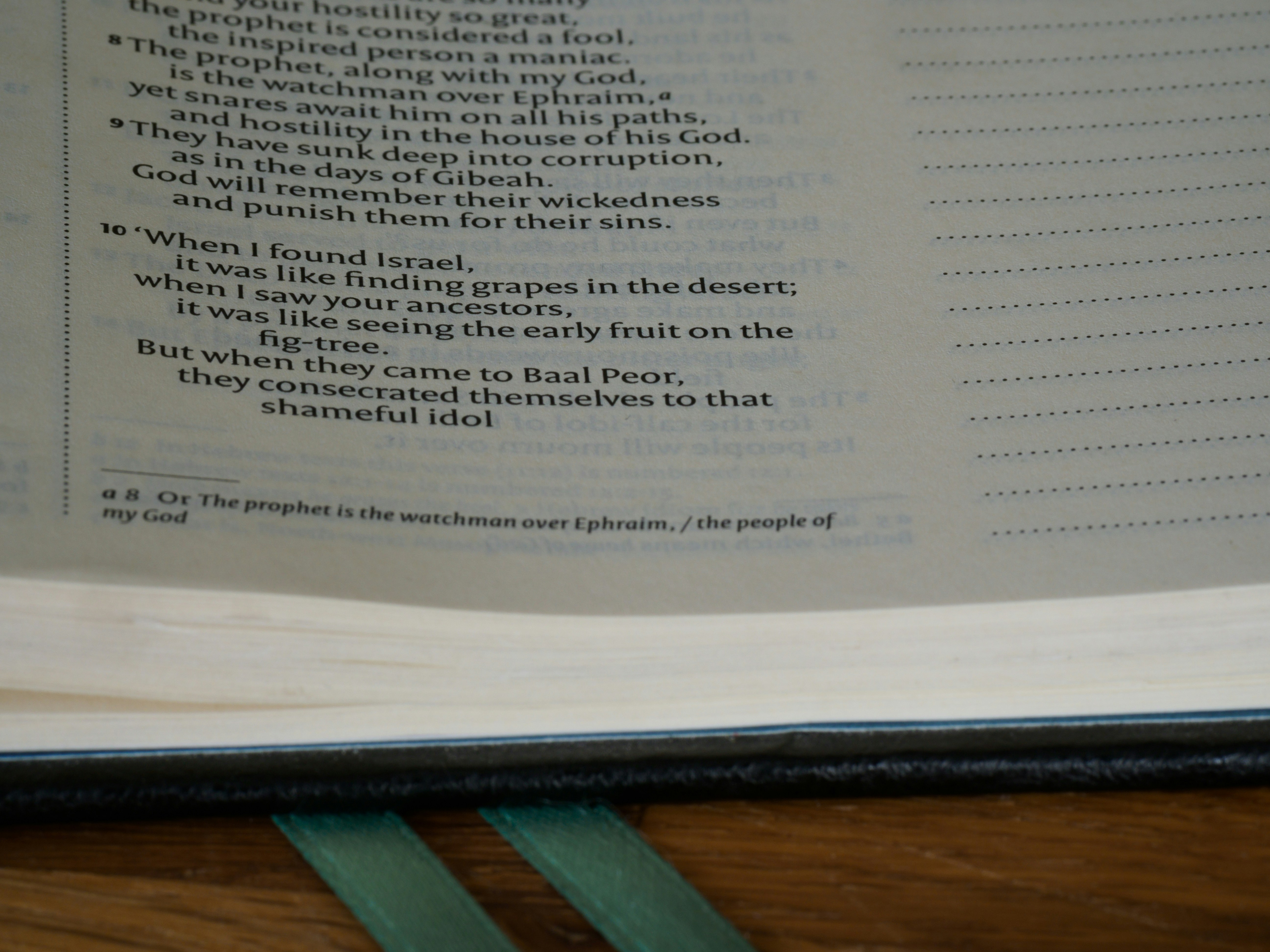 Photo by brett_jordan