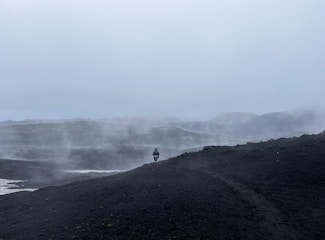 A mysterious figure standing at the edge of a surreal, alien landscape.