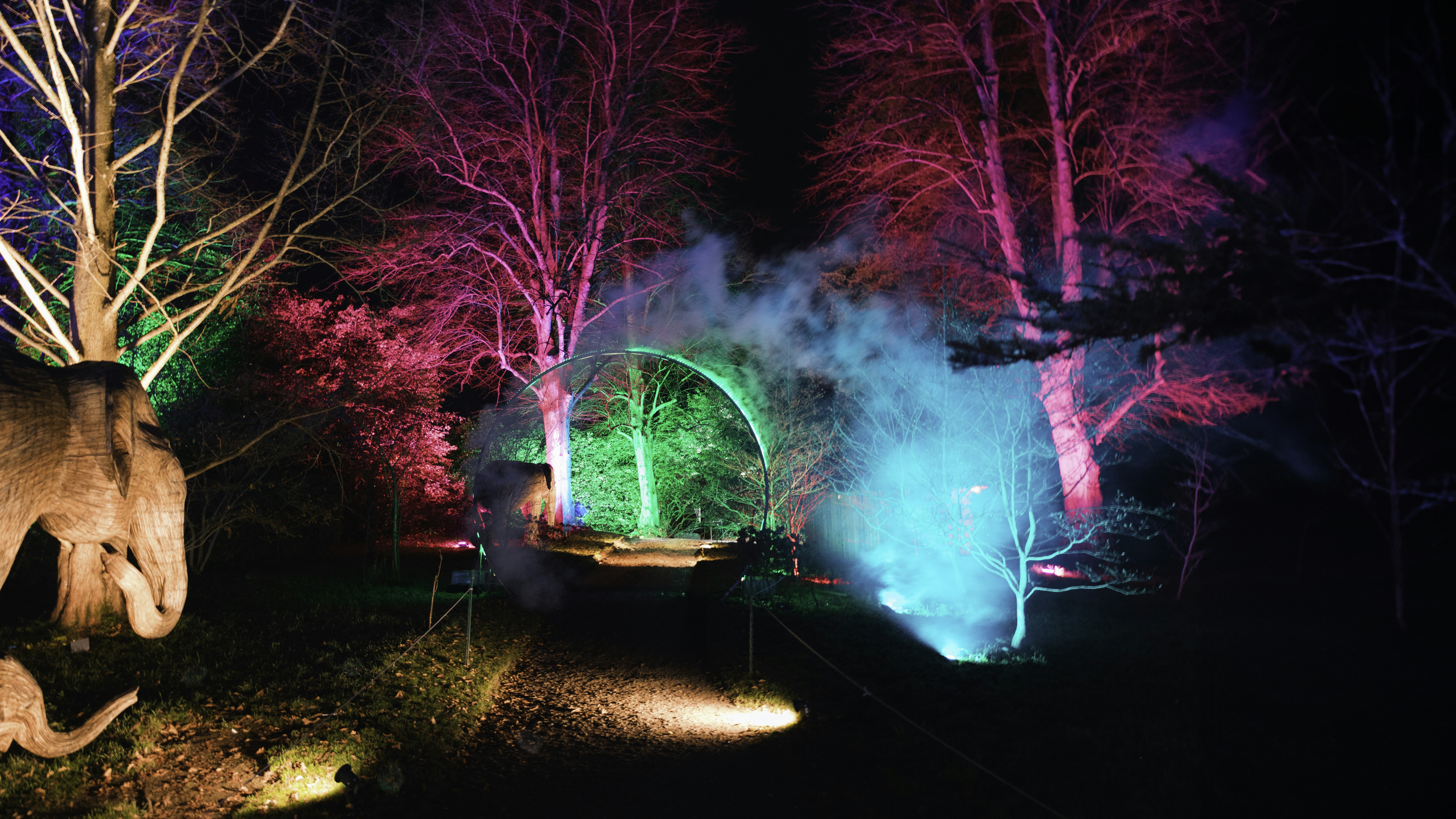 Photo by secondsight