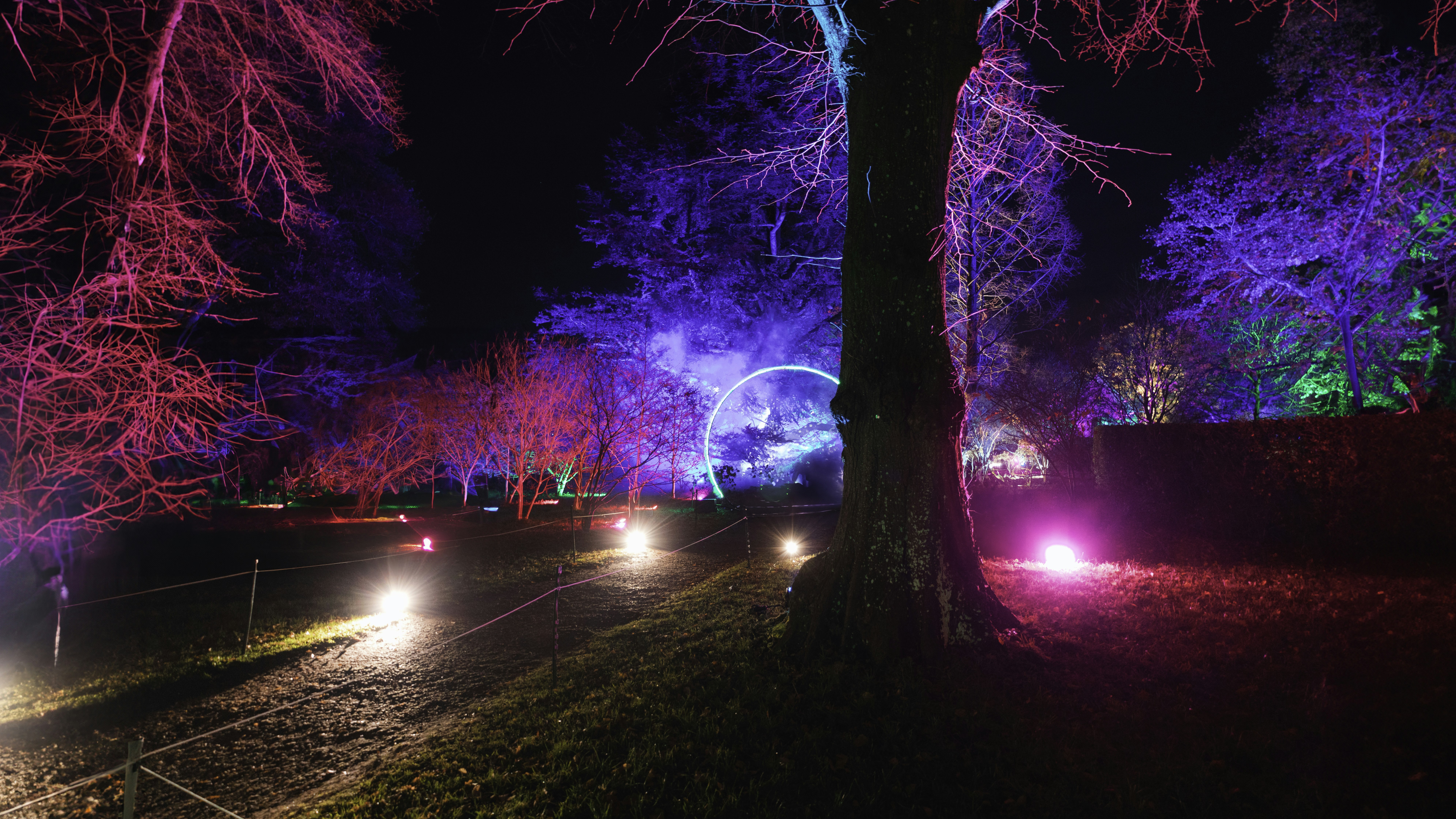 Un grupo de coches conduciendo por una carretera de noche