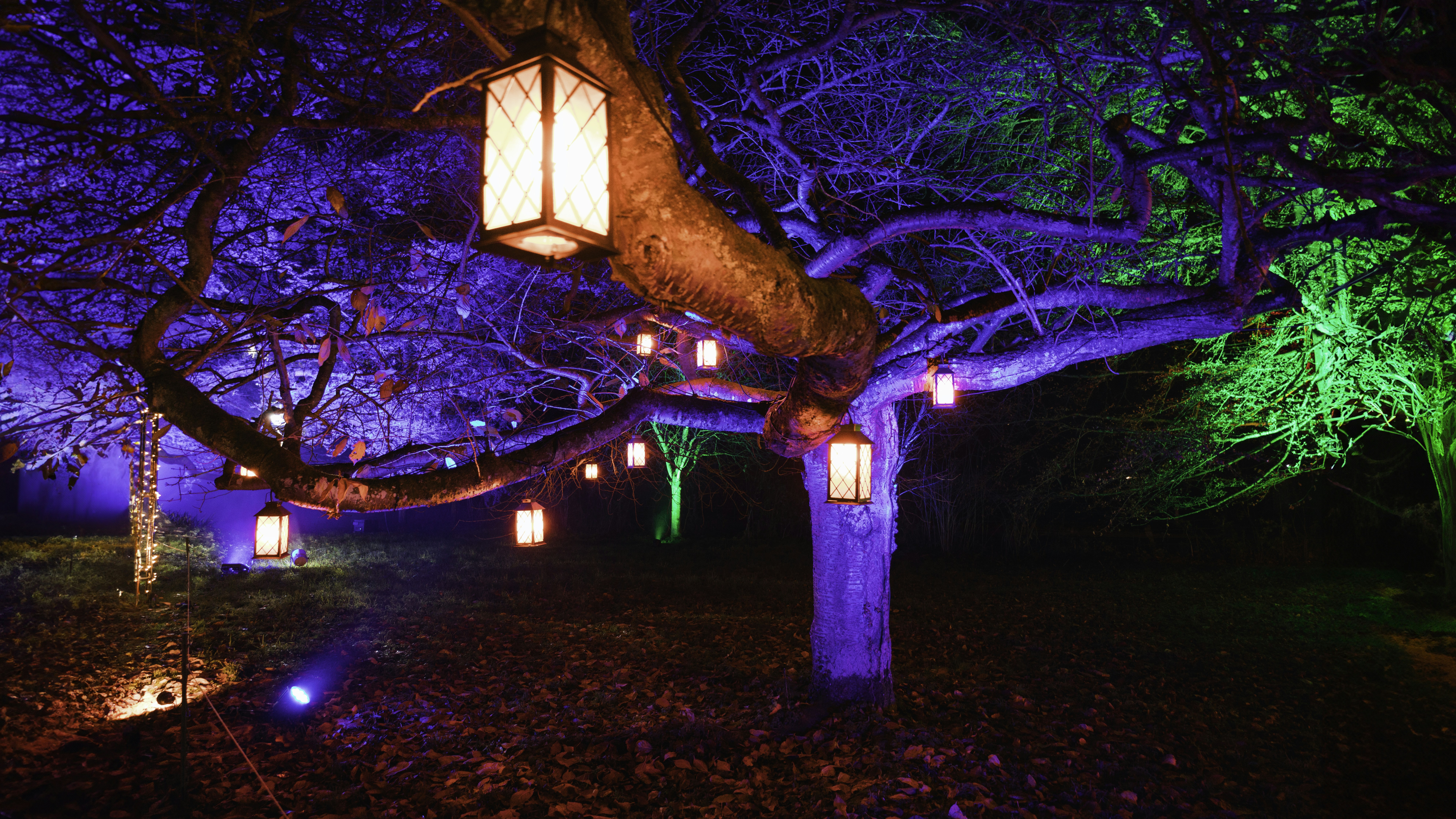 Photo by secondsight