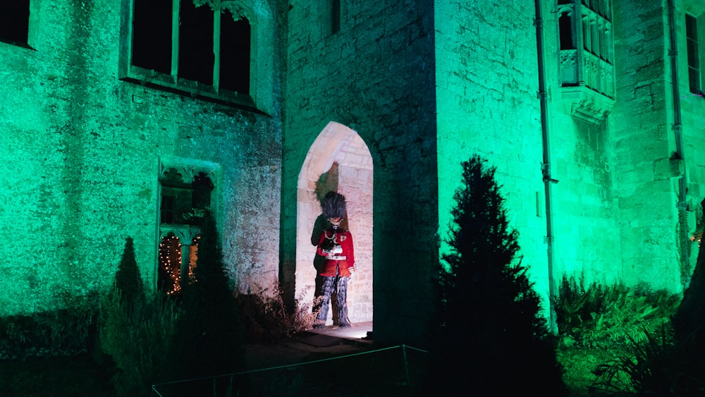 a person standing in a doorway of a castle