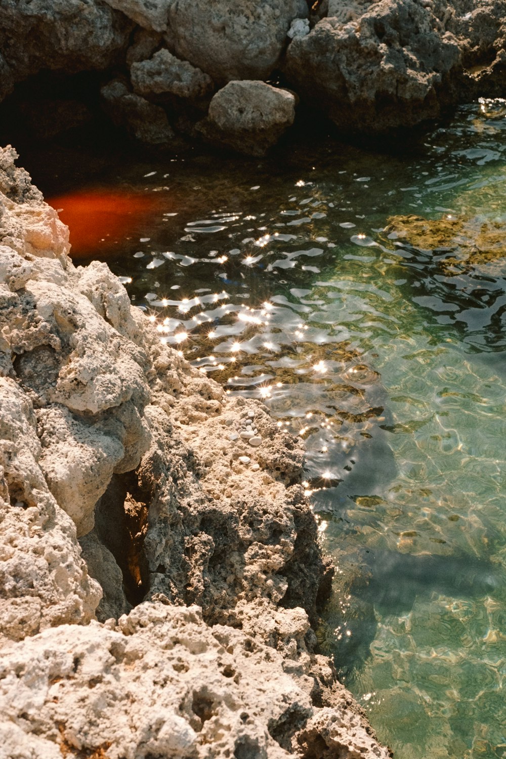 a bird sitting on a rock near a body of water