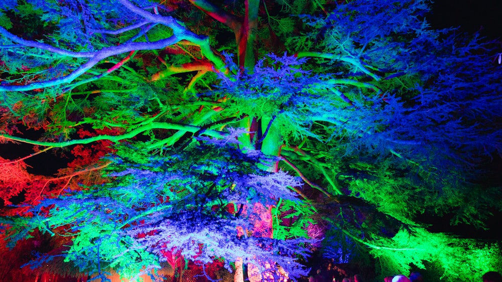 a group of people standing under a colorful tree