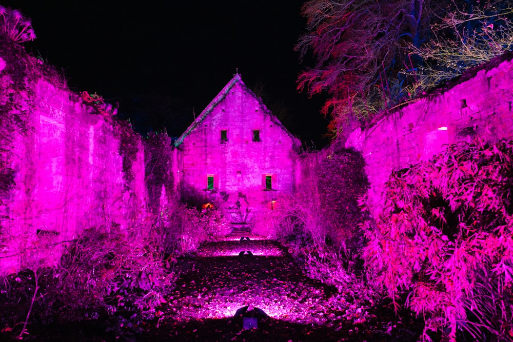 a purple light is shining on a building