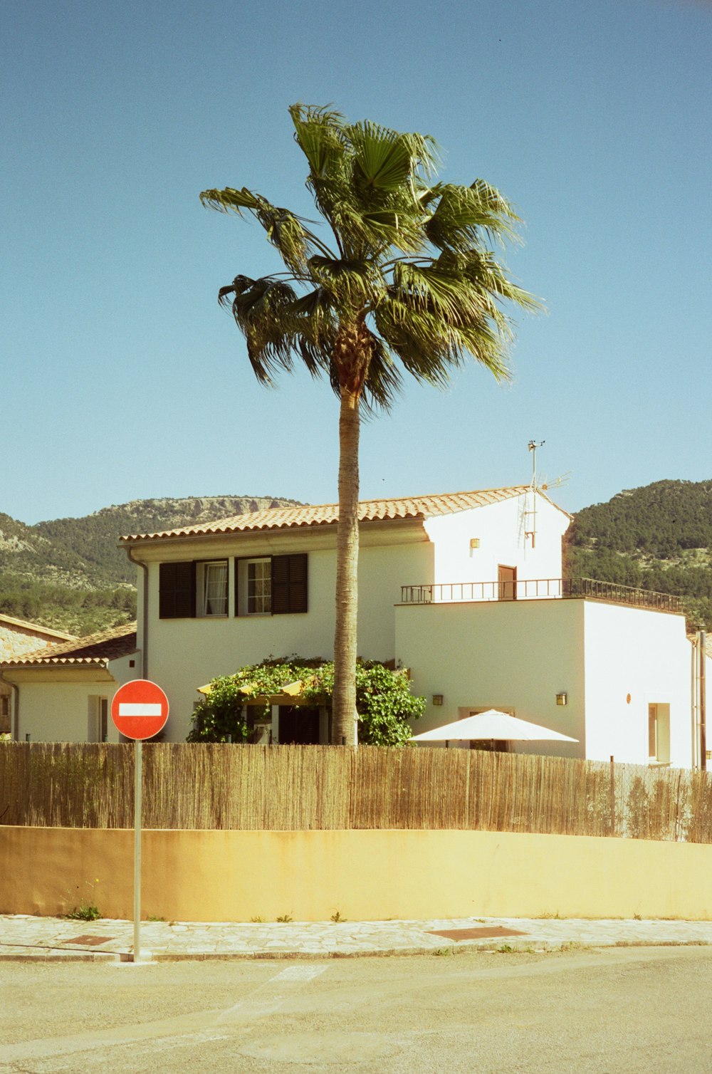 a house with a palm tree in front of it