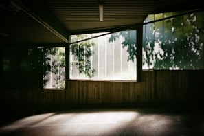 Natural light flooding the room highlighting earthy tones.