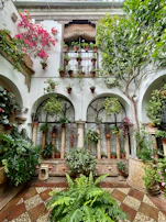 Sunlit courtyard with vibrant plants and seating area at Nivasara.