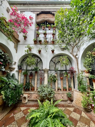 A vibrant courtyard with lush greenery, featuring hanging plants and potted flowers placed on and around arched windows. The walls are adorned with decorative latticework, and the floor has a mosaic pattern. Bright pink flowers add a pop of color amid the predominantly green foliage.