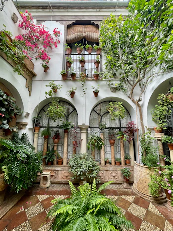 A vibrant courtyard landscape featuring large, durable planters filled with blooming plants.