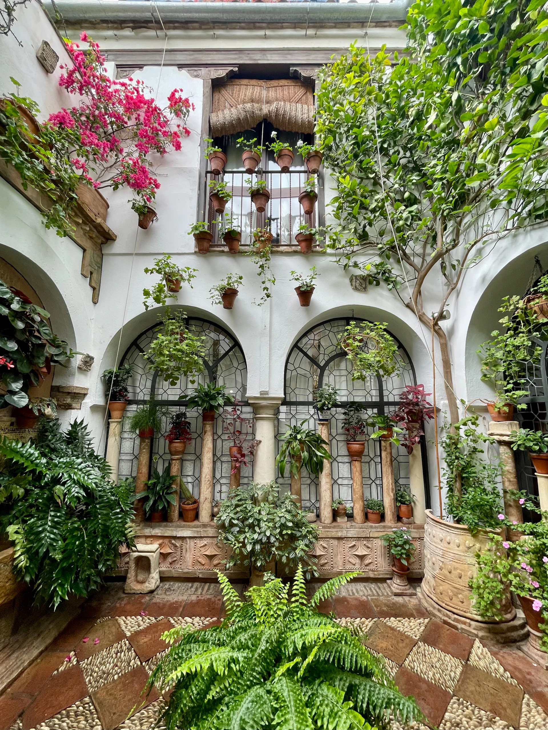 A vibrant courtyard with lush greenery, featuring hanging plants and potted flowers placed on and around arched windows. The walls are adorned with decorative latticework, and the floor has a mosaic pattern. Bright pink flowers add a pop of color amid the predominantly green foliage.