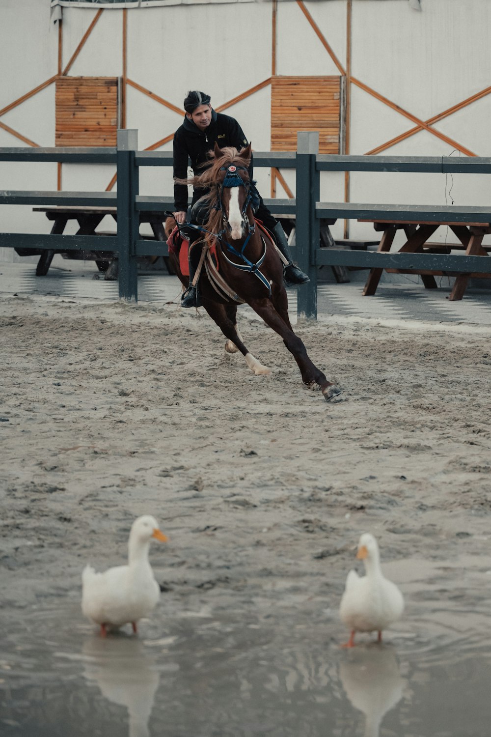 a man riding on the back of a brown horse