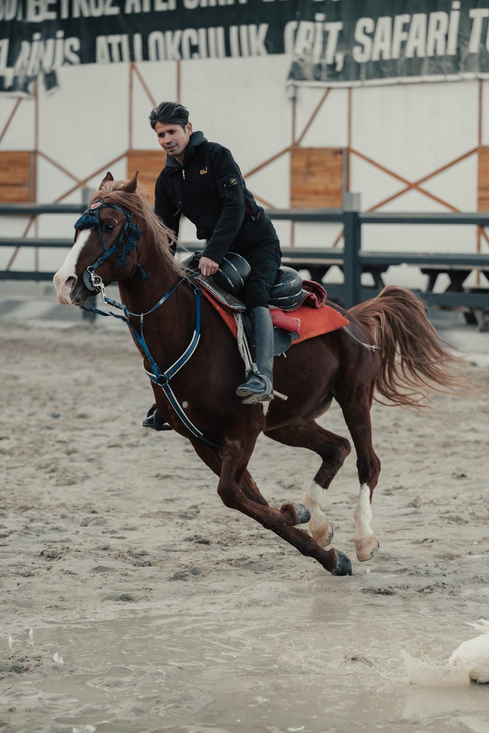 a man riding on the back of a brown horse