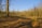 Photo of a freshly cleared forest lot with a bobcat skidsteer at work under a bright blue sky.
