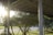 Sunlight filters through a canopy of trees, casting shadows on the grass below. The scene features a metal structure with vertical poles, possibly a shelter or gazebo, set in a park-like area beside a road. Underneath the structure, various green shrubs and trees are visible, creating a tranquil, shady environment.