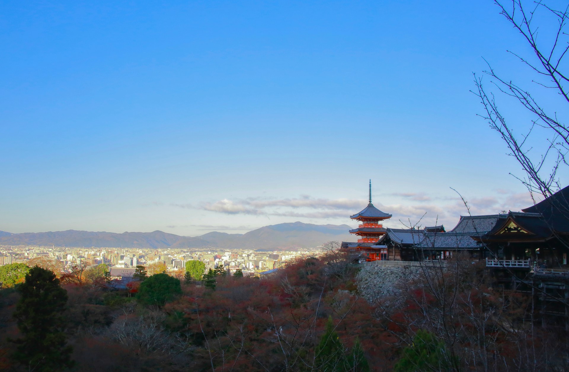 woman wearing yellow long-sleeved dress under white clouds and blue sky during daytime
