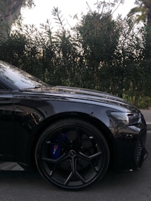 The image features the front portion of a sleek black car parked on a paved surface. The car's wheel is prominently displayed, showing a high-performance brake system. In the background, there are dense green bushes and trees under a bright sky.