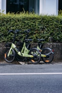 Two electric bicycles are parked side by side on the sidewalk next to a low, dense hedge. The bicycles are sleek and modern, predominantly green with black accents. The area appears clean and quiet, with a road visible in the foreground.