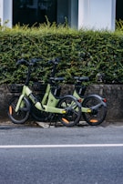 Two electric bicycles are parked side by side on the sidewalk next to a low, dense hedge. The bicycles are sleek and modern, predominantly green with black accents. The area appears clean and quiet, with a road visible in the foreground.