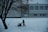 A solitary figure operates a snowblower on a snow-covered path in front of a large building. The scene is framed by a leafless tree on the left, with a shovel embedded in the snow nearby. The building has multiple windows with some snow accumulation on the sills, suggesting recent snowfall.