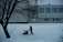 A solitary figure operates a snowblower on a snow-covered path in front of a large building. The scene is framed by a leafless tree on the left, with a shovel embedded in the snow nearby. The building has multiple windows with some snow accumulation on the sills, suggesting recent snowfall.