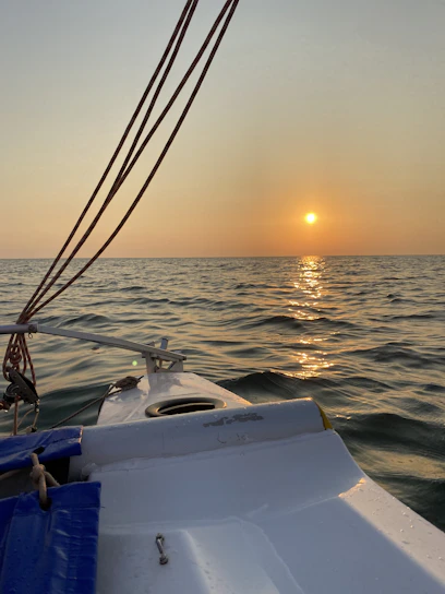 A cozy sailboat deck at sunset with two curious cats looking over the water.