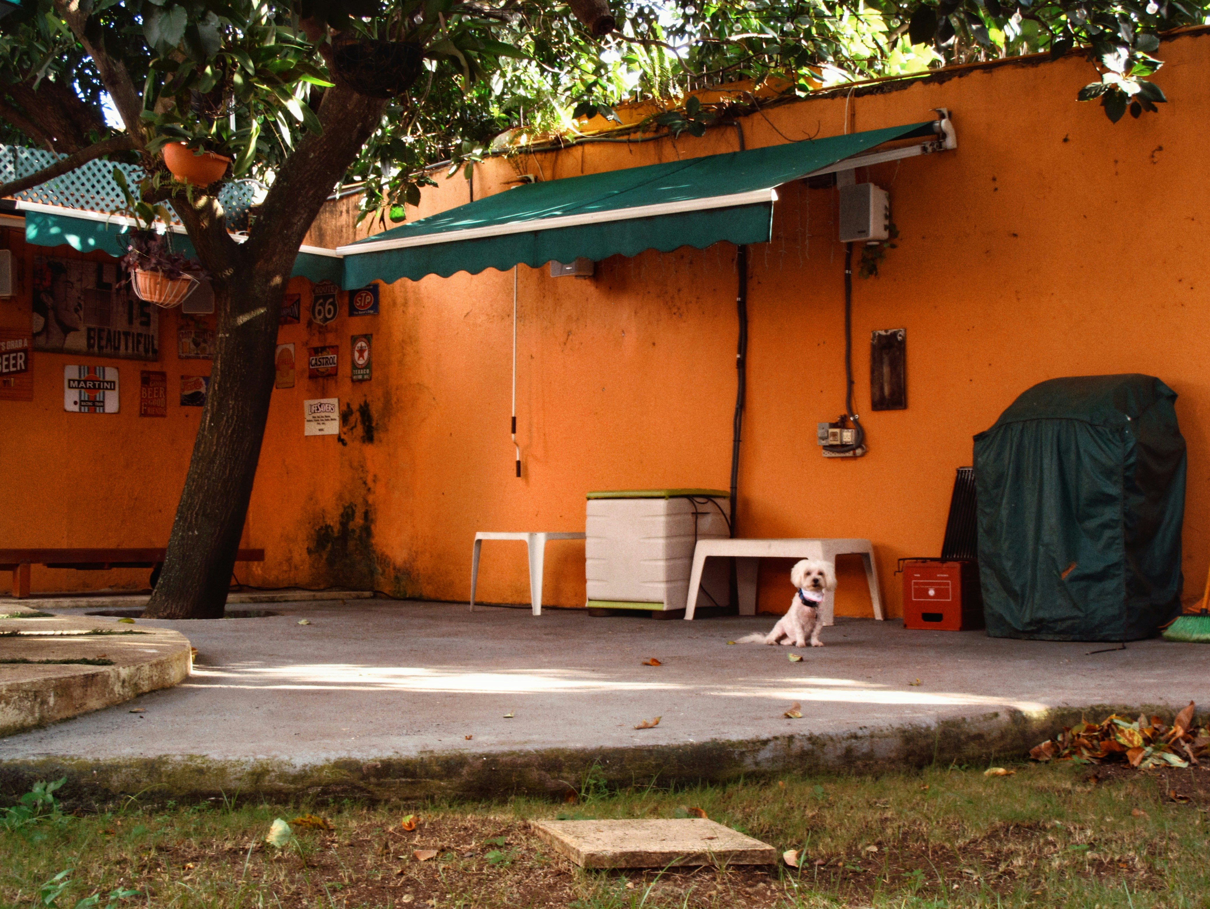 Photo by cristejeda_ph