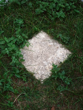 Close-up of a smooth flat marker stone embedded in lush green grass.