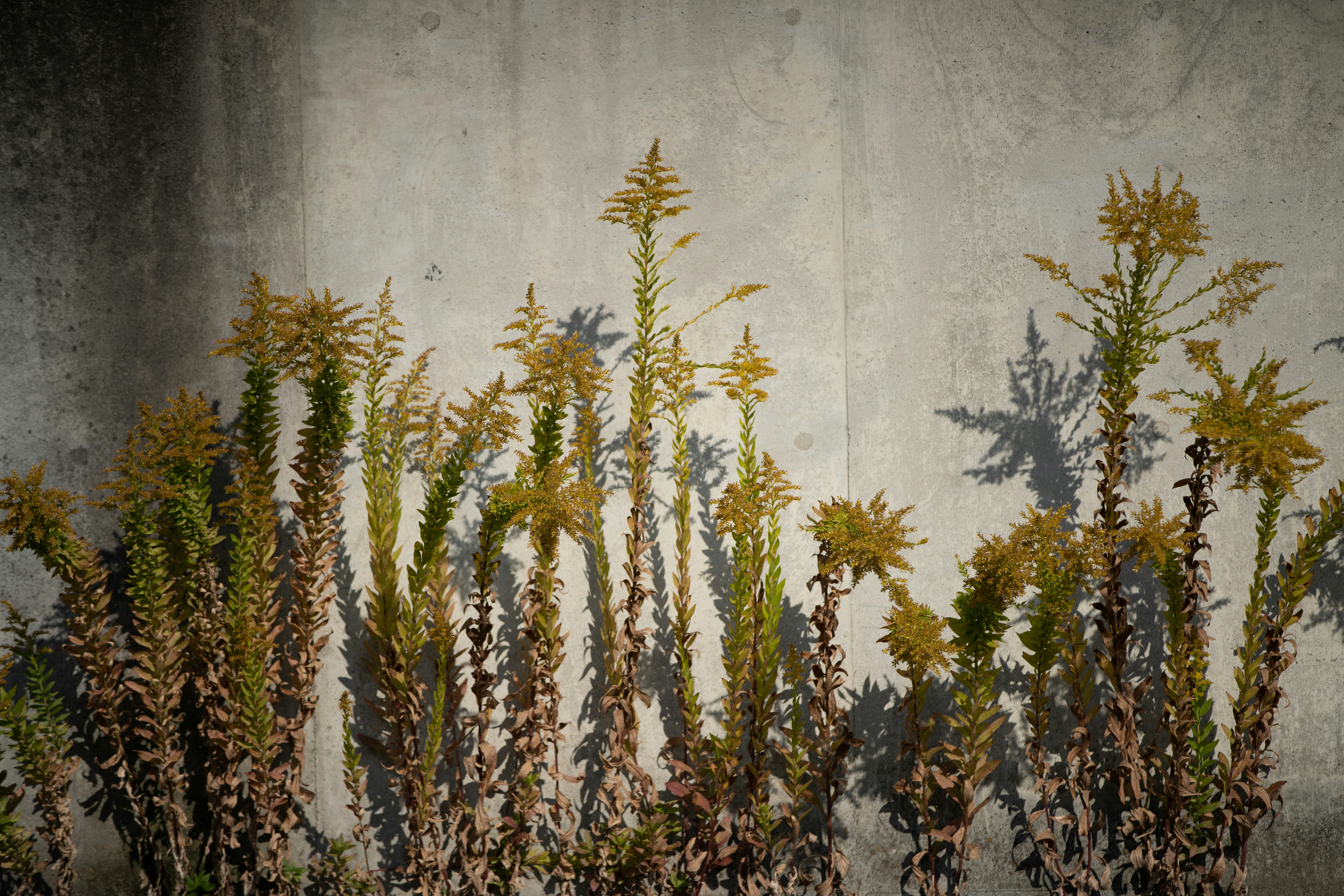 Nature landscape wallpaper, Forest trees wallpaper, Beach sunset wallpaper, Mountain range wallpaper, ilustrasi artikel Say 