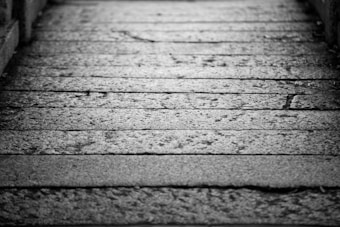 Photo 1702480249865 5ea371c75638?q=85&w=340&h=340&fit=crop