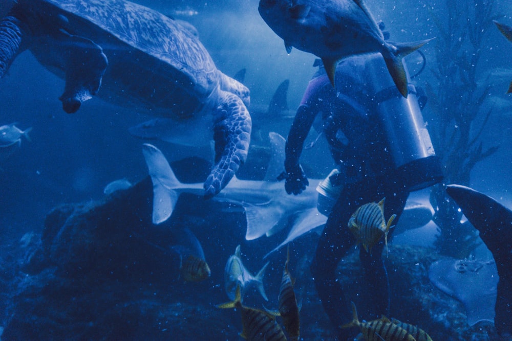 a man standing next to a turtle in an aquarium