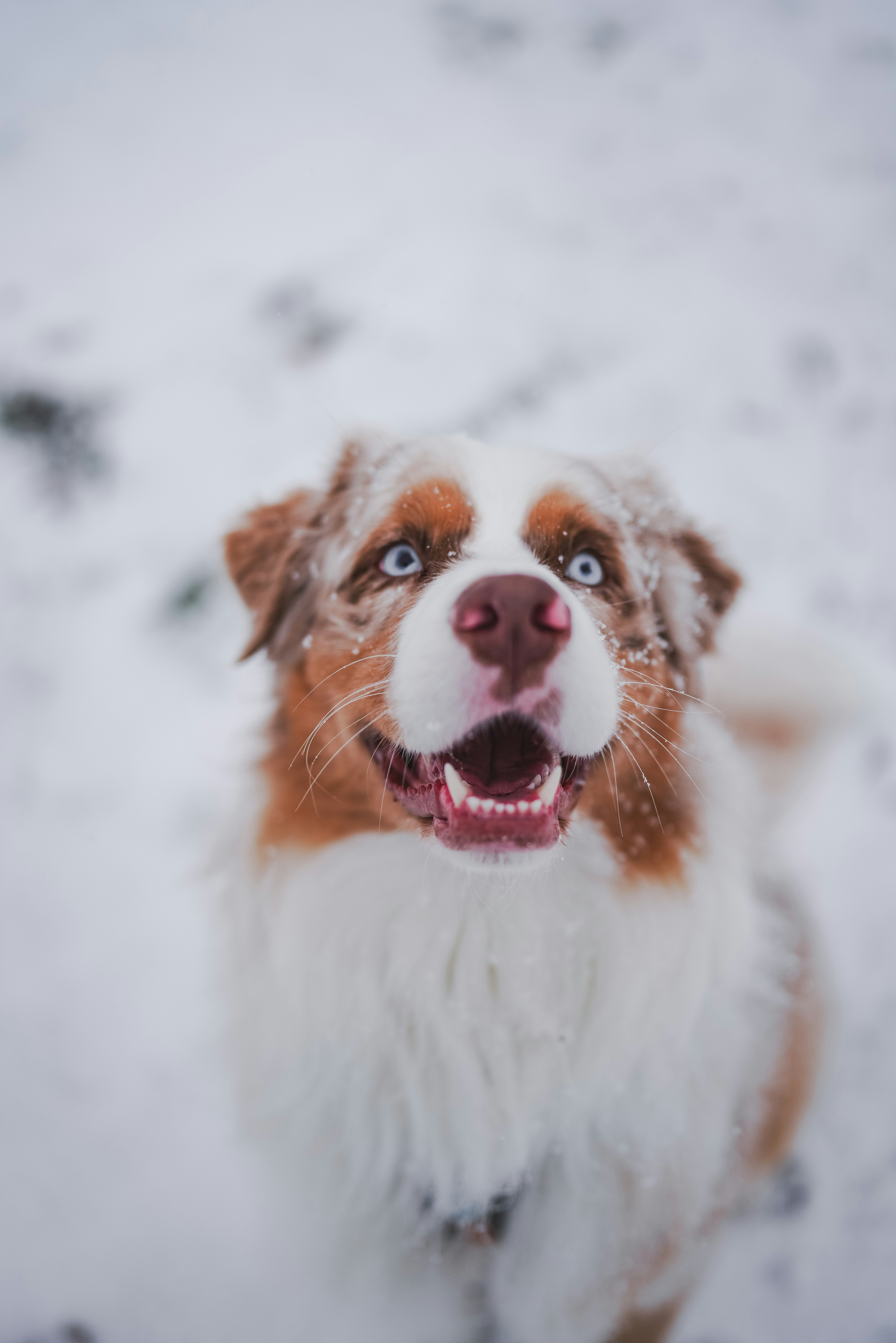 Photo by vanniekowski