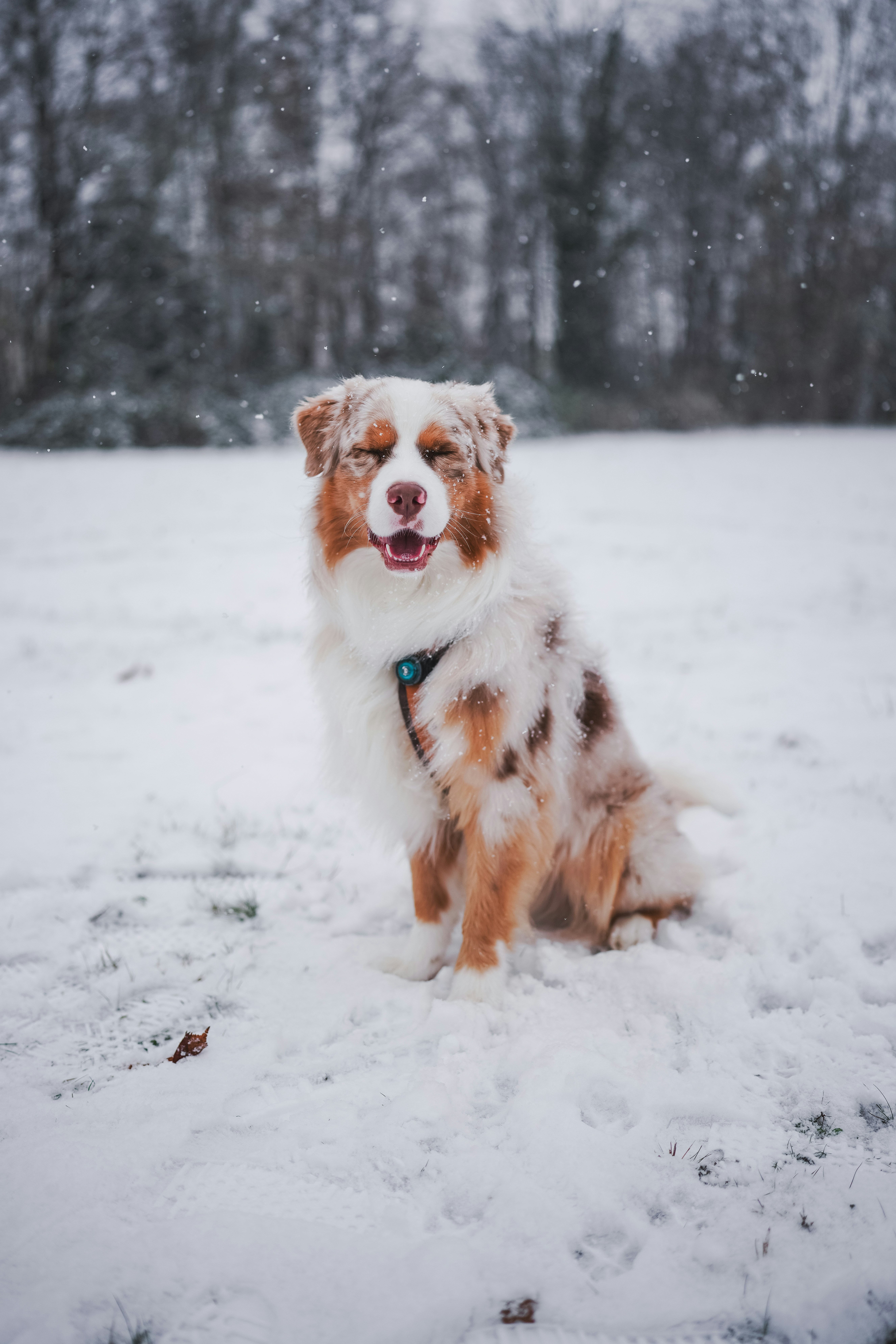 Photo by vanniekowski