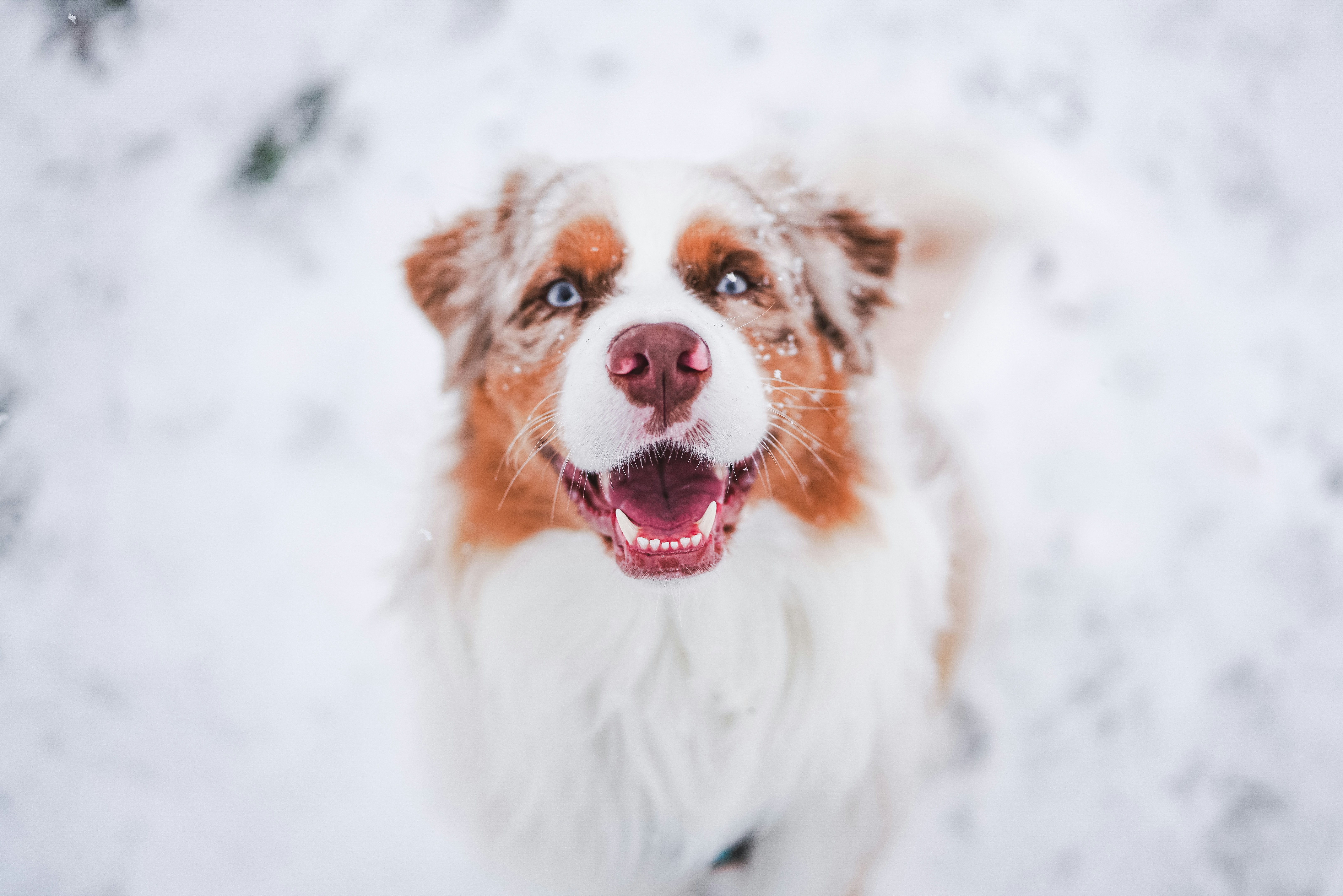 Photo by vanniekowski