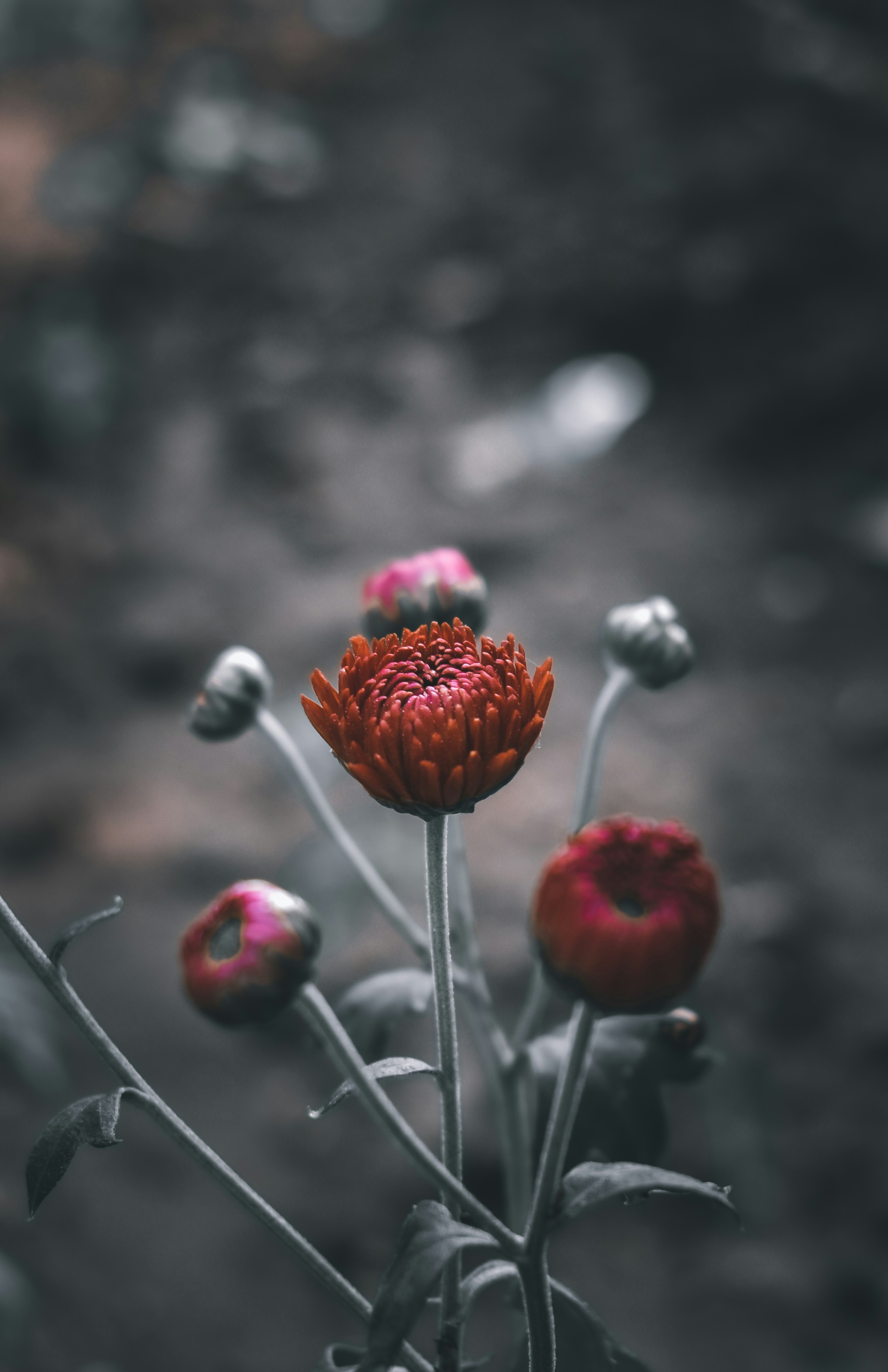 Photo by garv_4