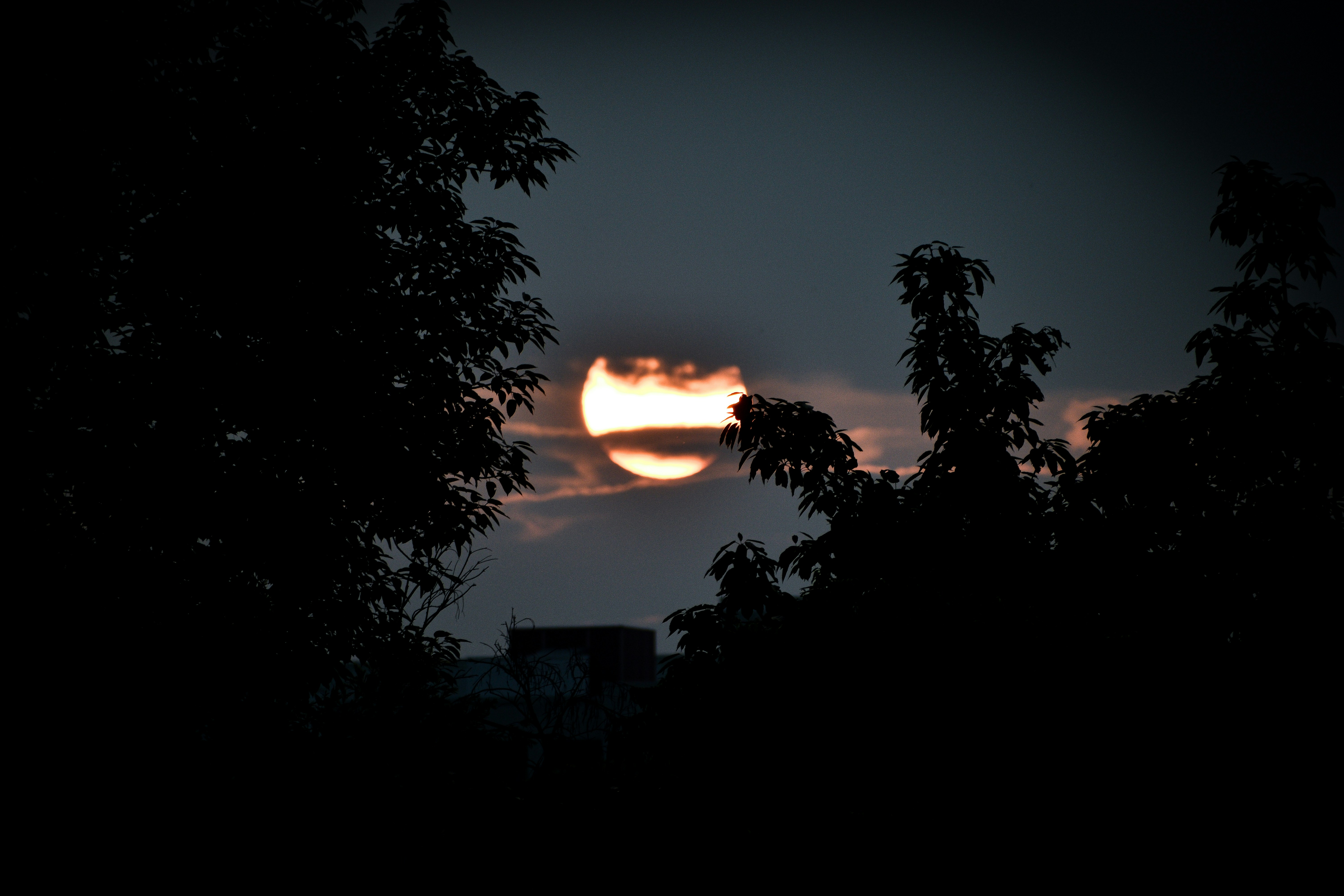 Photo by garv_4