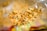 A close-up view inside an opened bag of crispy snacks, likely chips or a similar savory treat. The chips are seasoned with green herbs and spices, with a mix of yellow and brown hues indicating the flavoring. The bag's inner surface can be partially seen, reflecting light and creating a shiny effect.