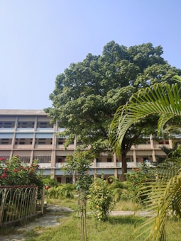 A multi-story building with balconies, set behind a landscaped garden with various flowering plants and trees. A large tree with a thick canopy of green leaves is prominently visible near the center. The sky is clear and blue, indicating a sunny day.