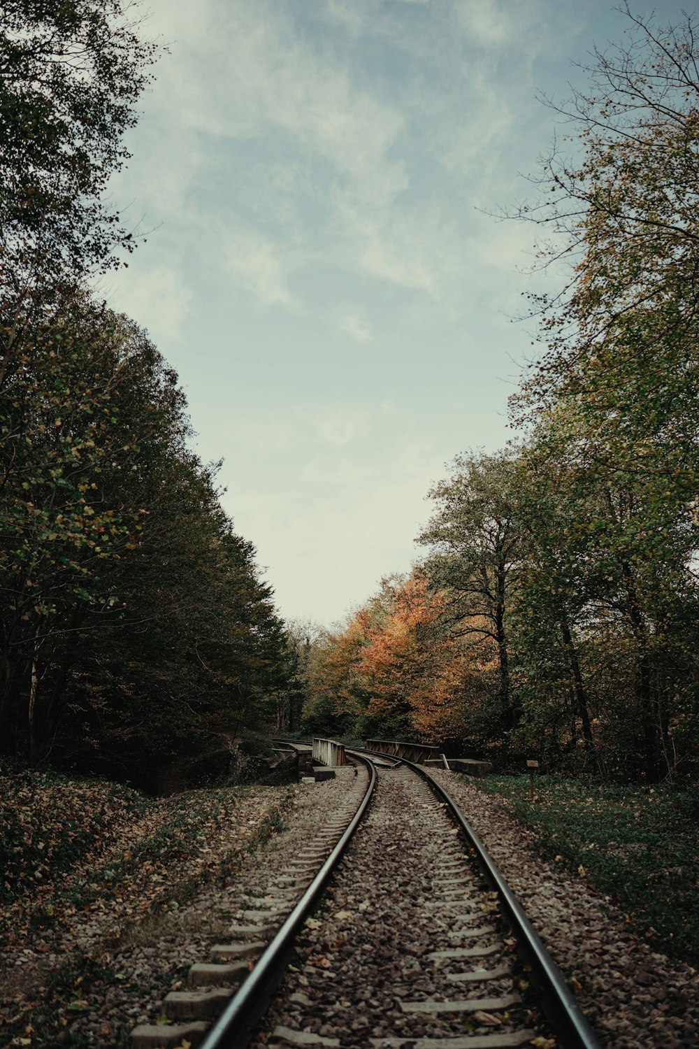 a train track in the middle of a wooded area