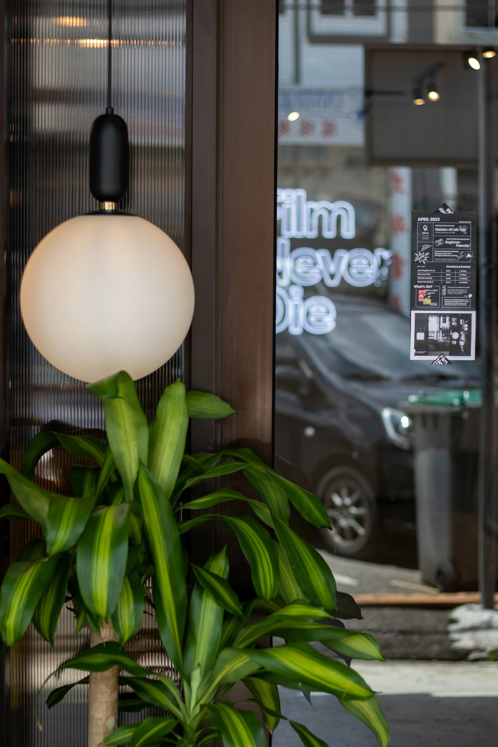 a potted plant sitting in front of a window