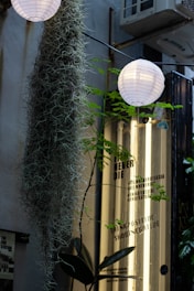 A vertical garden scene with hanging moss and white paper lanterns illuminating the area. There is a metal or glass surface with text, including phrases such as 'Film Never Die' and 'Think Positive, Shoot Negative'. The surroundings are urban, with elements like an air conditioning unit visible.