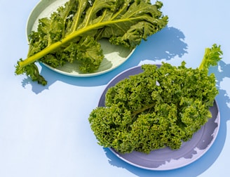 a couple of plates of broccoli on a table