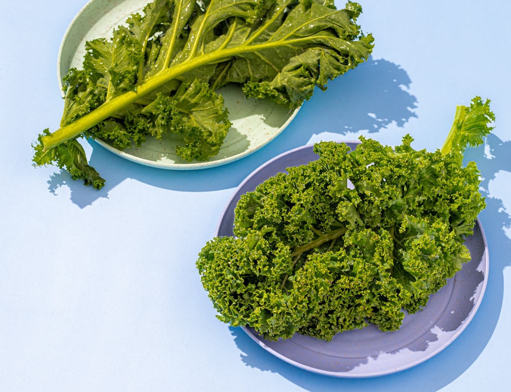 quelques assiettes de brocoli sur une table