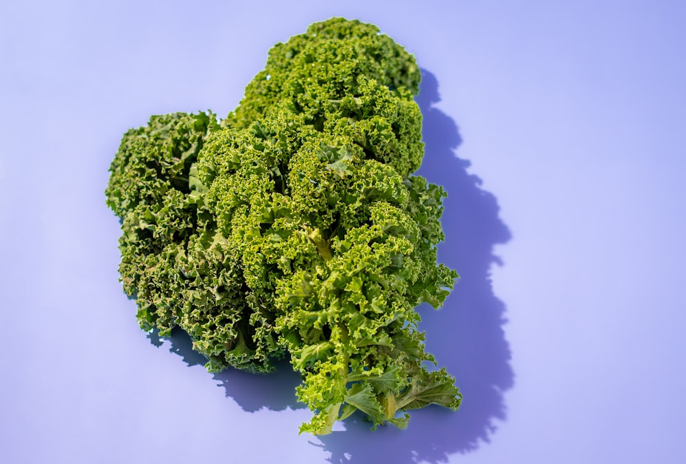 a pile of green leafy vegetables on a blue background
