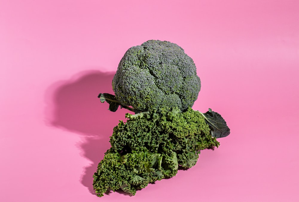 a head of broccoli on a pink background