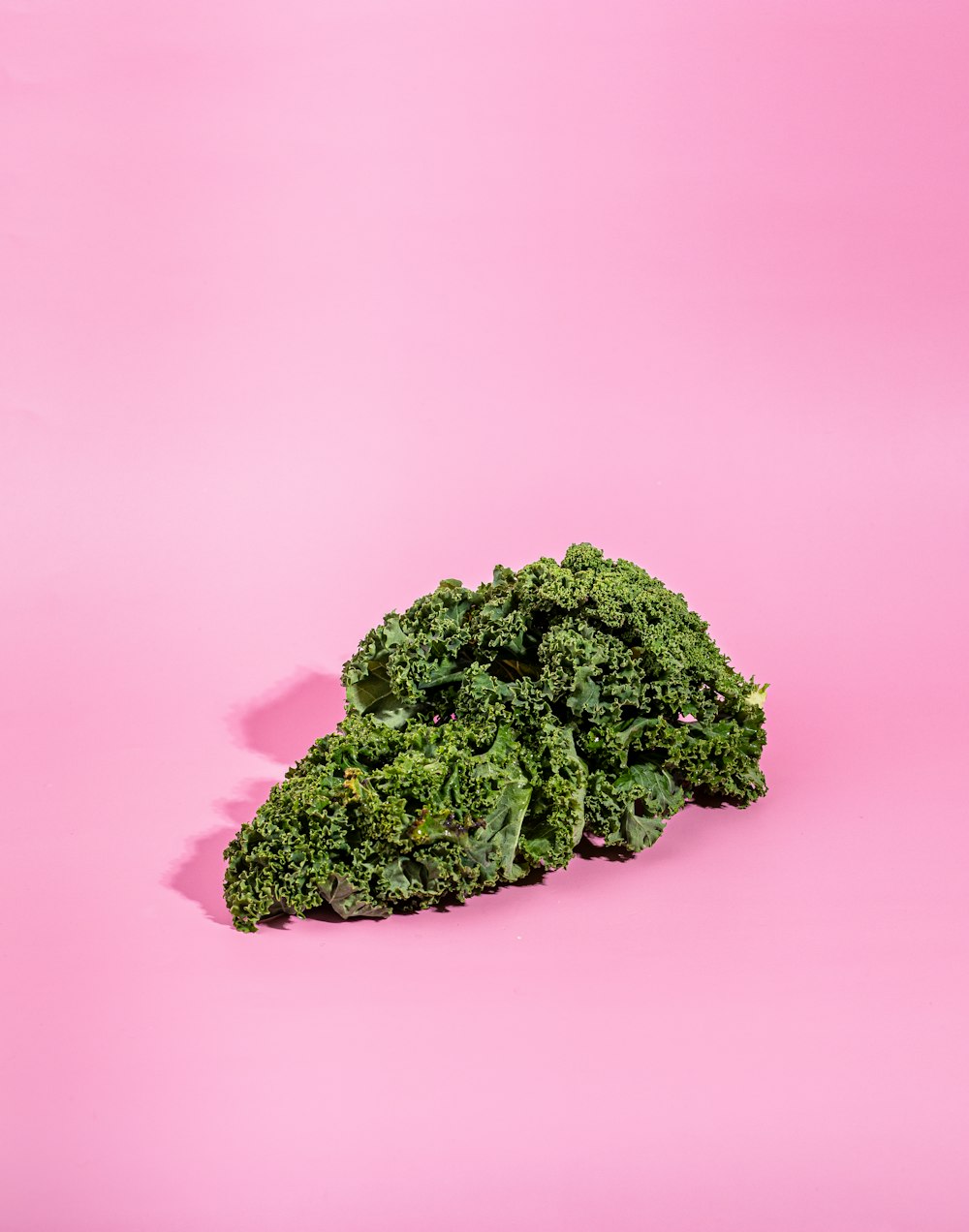 ピンクの背景に緑の葉野菜の山