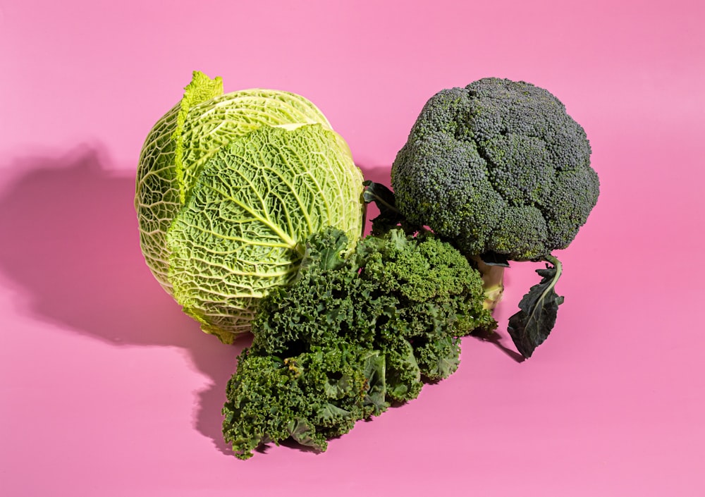 a head of broccoli and a head of cabbage on a pink background