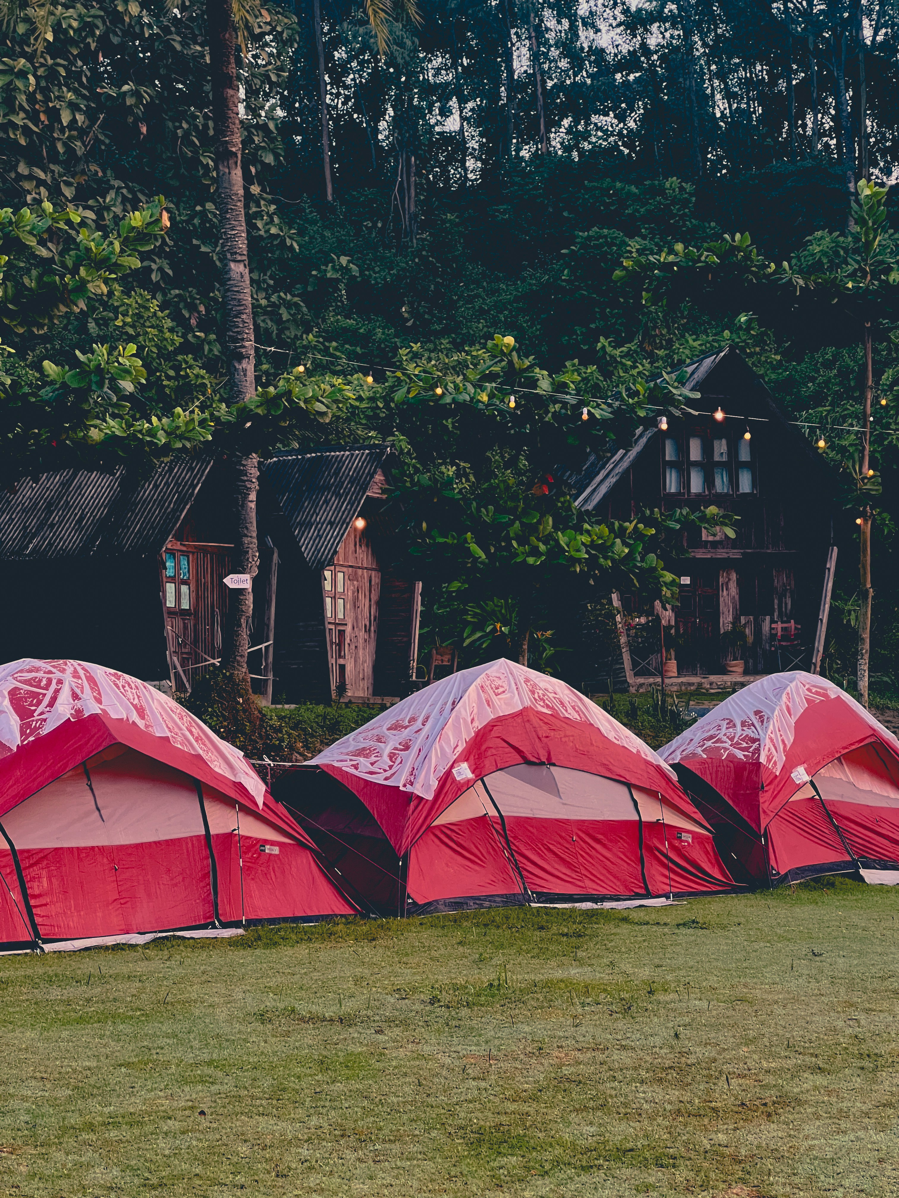 Ultimate Bounce House Rental