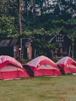 Red and white tents are set up on a grassy area near a wooded backdrop. The tents are arranged in a line, in front of rustic wooden cabins. String lights are hung between trees, creating a cozy atmosphere among the lush green foliage.